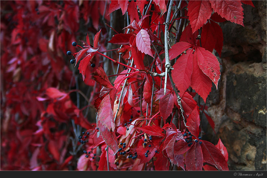 roter Oktober...