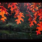 Roter Oktober