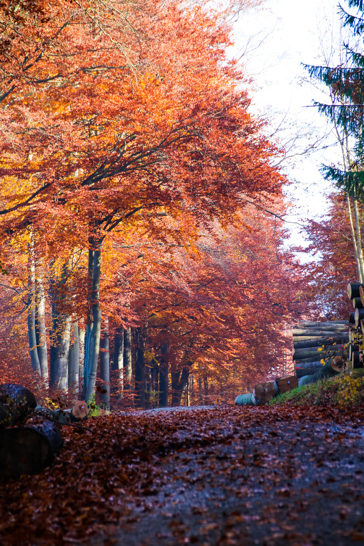 roter Oktober