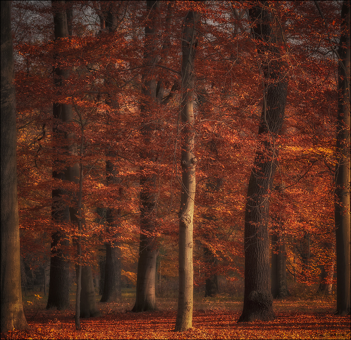 roter Oktober ...