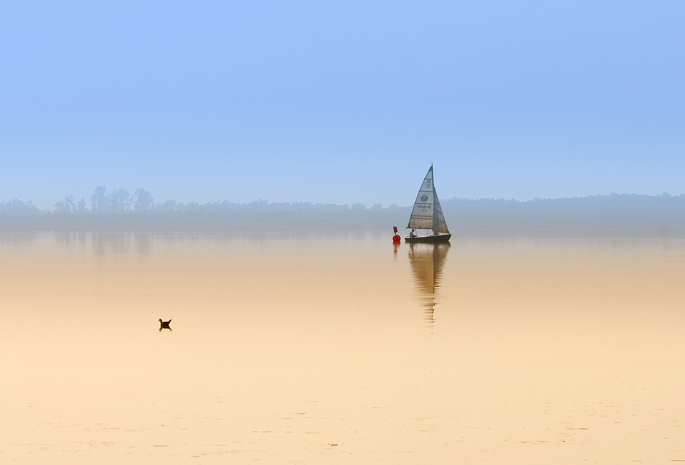 Roter Punkt,mit Segelboot und Möve.