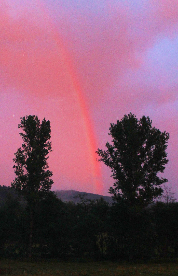 Roter Regenbogen...