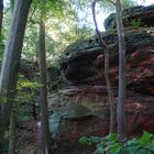 roter sandstein, im kiefernwald...