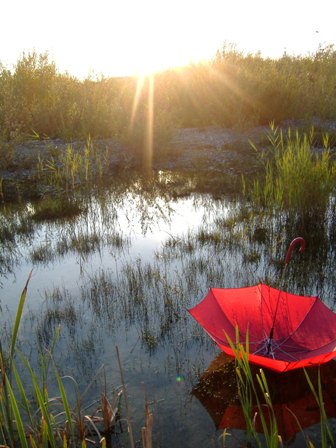 Roter Schirm