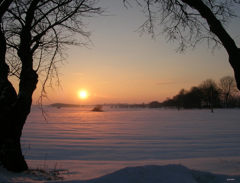 roter schnee