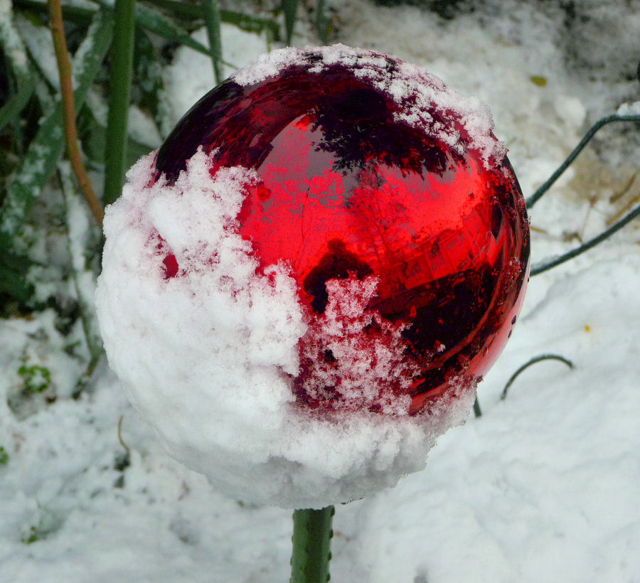 Roter Schneeball