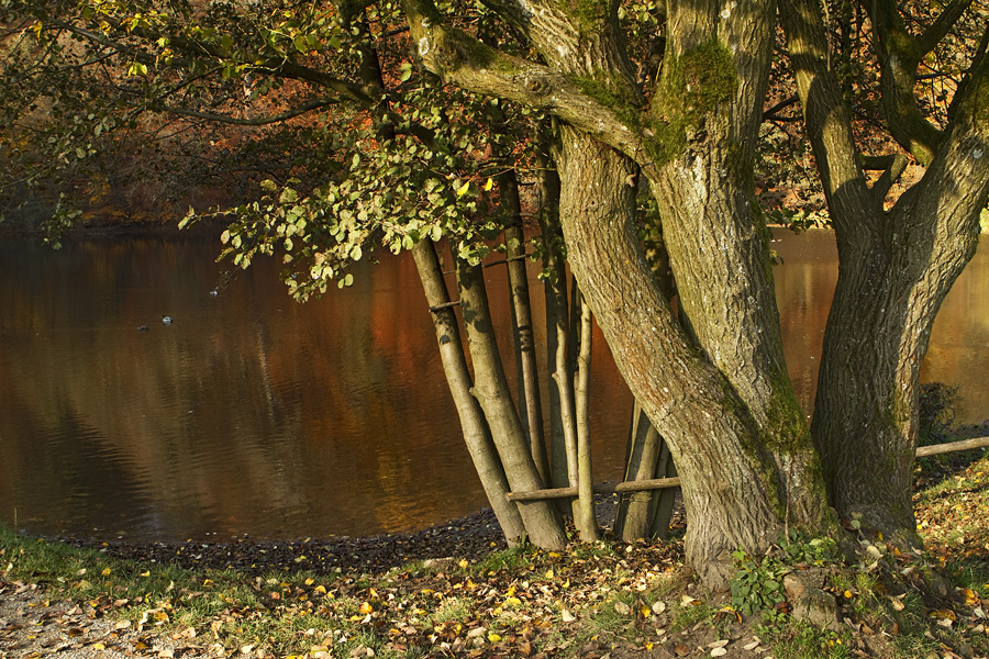 Roter See...