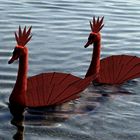 Roter Segelschwan