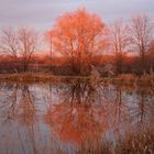 roter sonnenaufgang