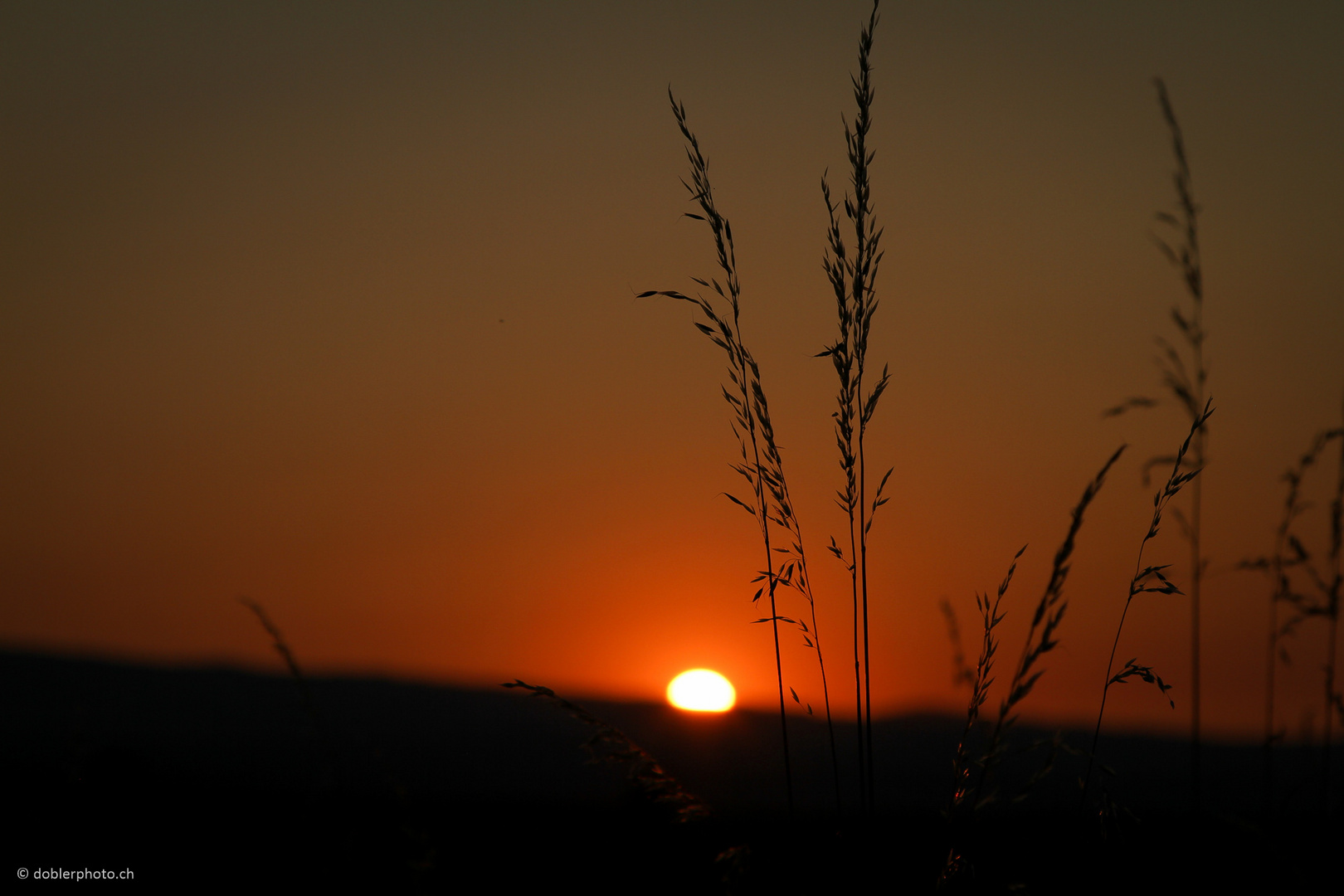 Roter Sonnenuntergang