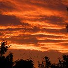 Roter Sonnenuntergang in Münster