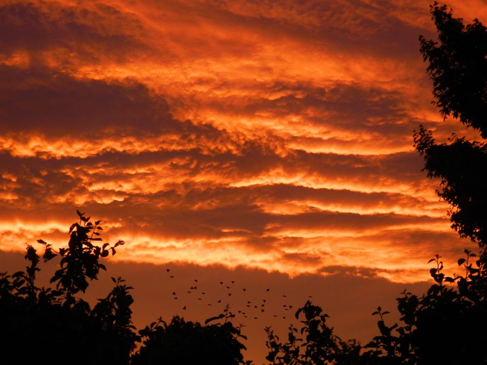 Roter Sonnenuntergang in Münster