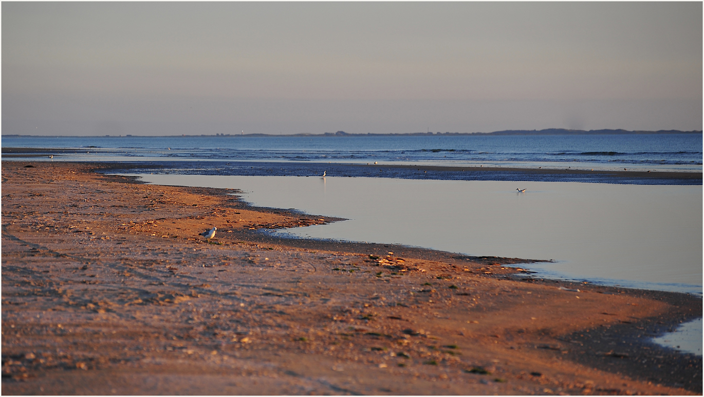 Roter Strand