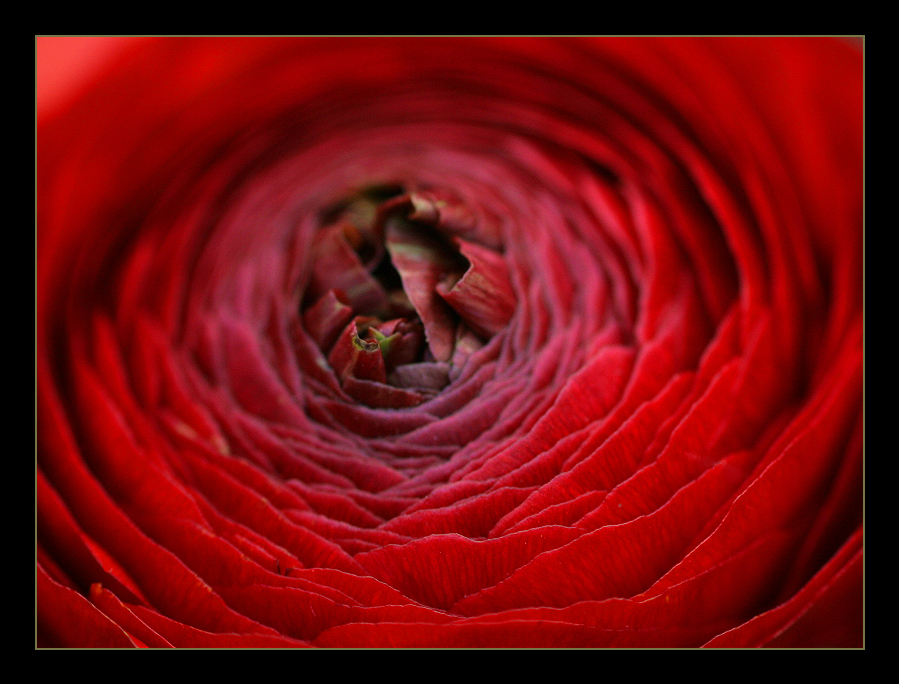 roter Strudel