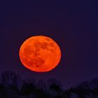 Roter Supermond