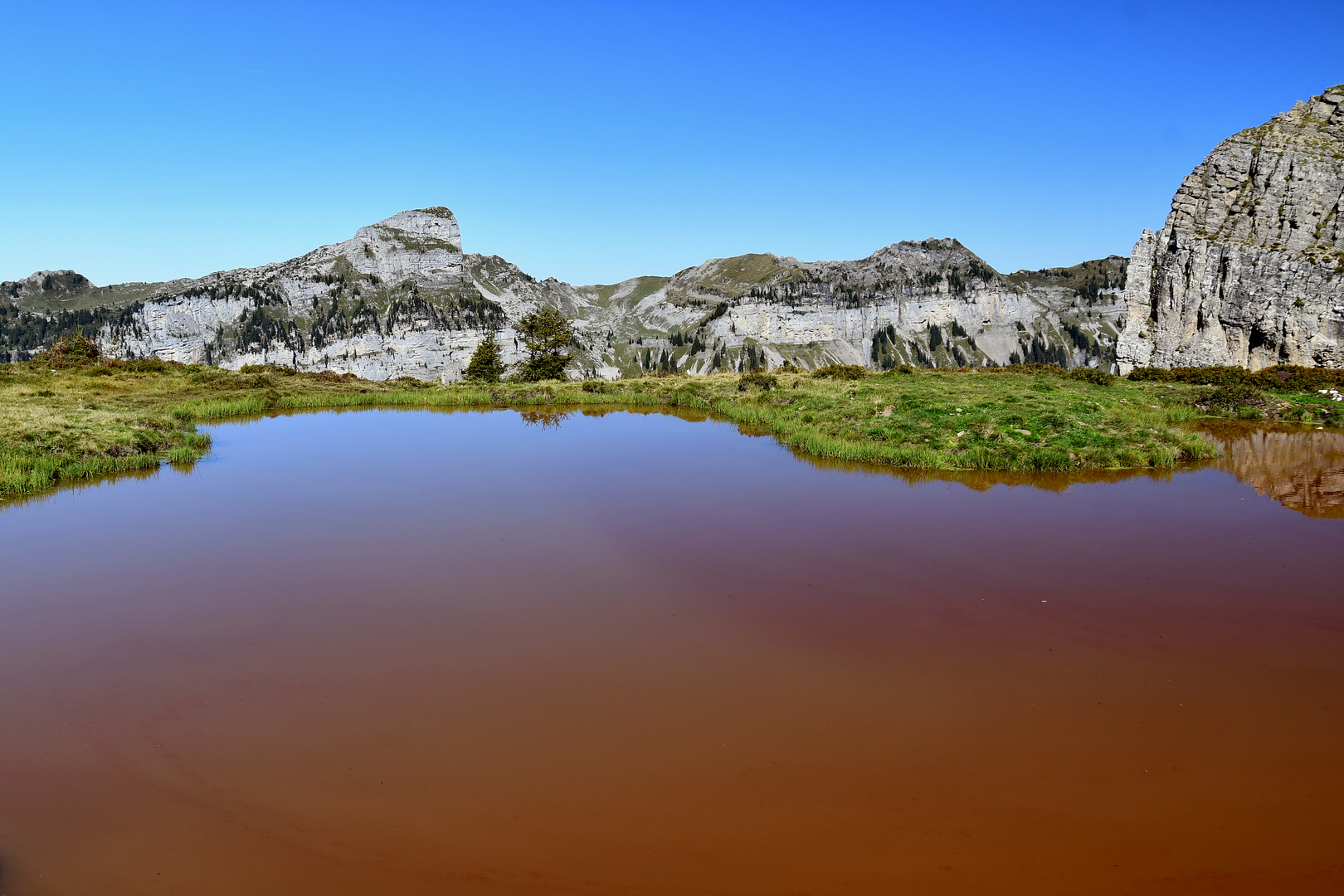 Roter Teich Foto & Bild landschaft, bach, fluss & see, see, teich