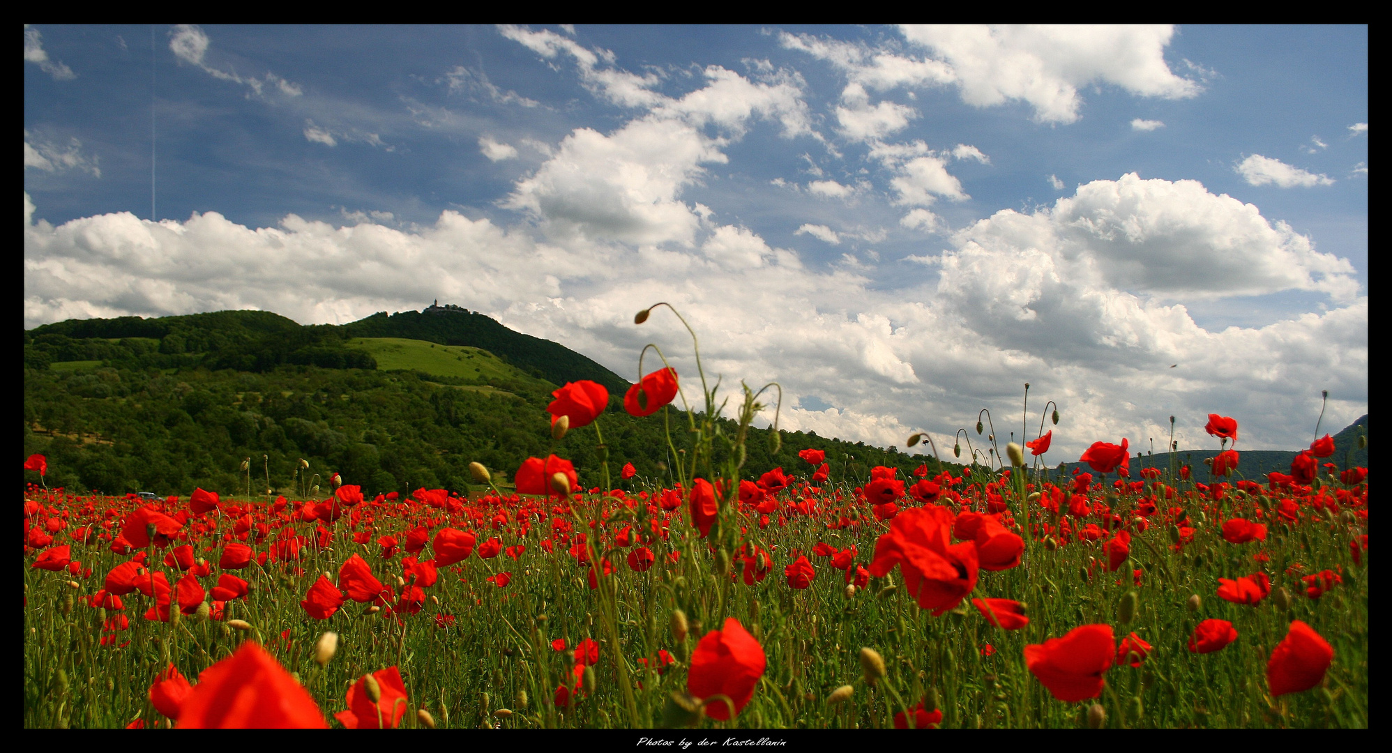 Roter Teppich...