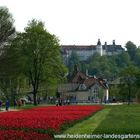 Roter Teppich zum Schloss Hellenstein