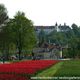 Roter Teppich zum Schloss Hellenstein