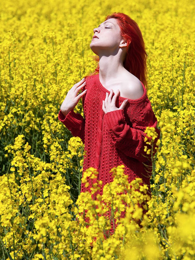 Roter Teufel im Raps