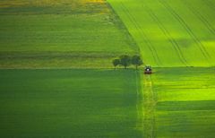 roter Traktor auf grüner Wiese