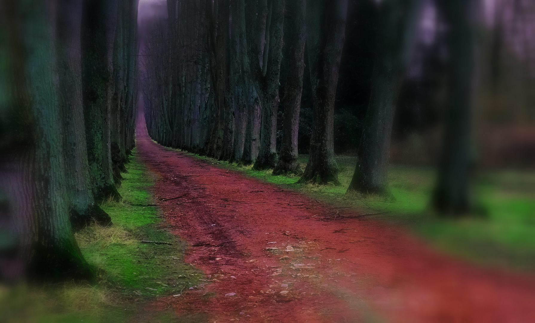 Roter Weg