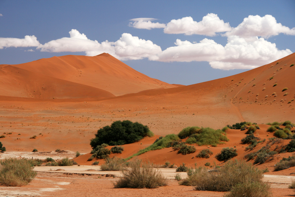 Roter Wüstensand