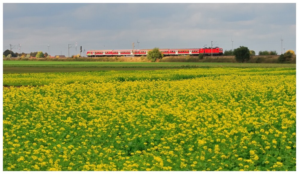 Roter Zug in gelb grüner Landschaft...