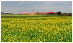 Roter Zug in gelb grüner Landschaft...