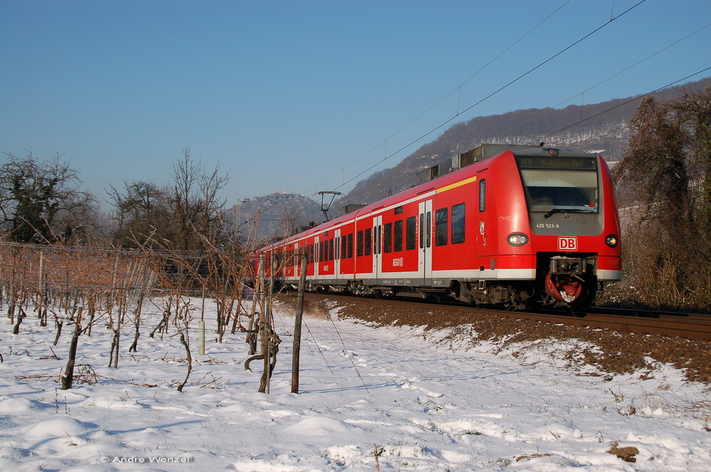 Roterfleck im Schnee