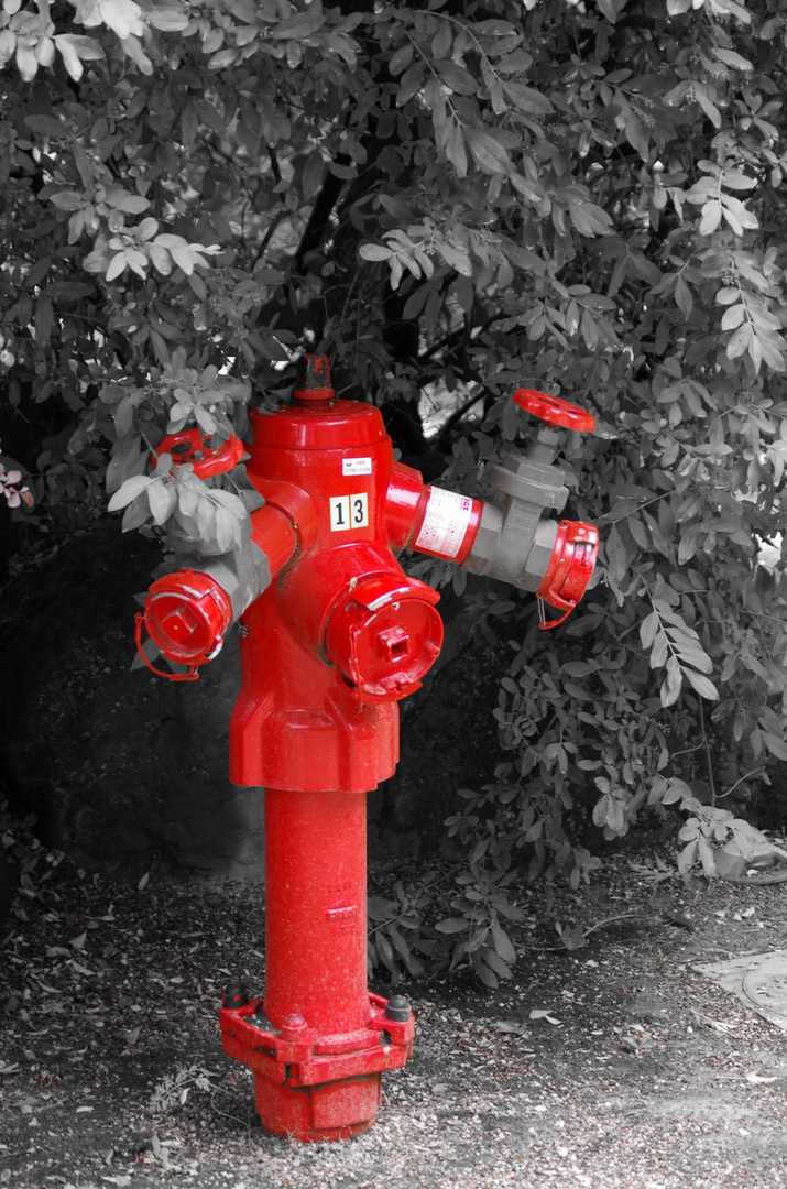 RoterHydrant...