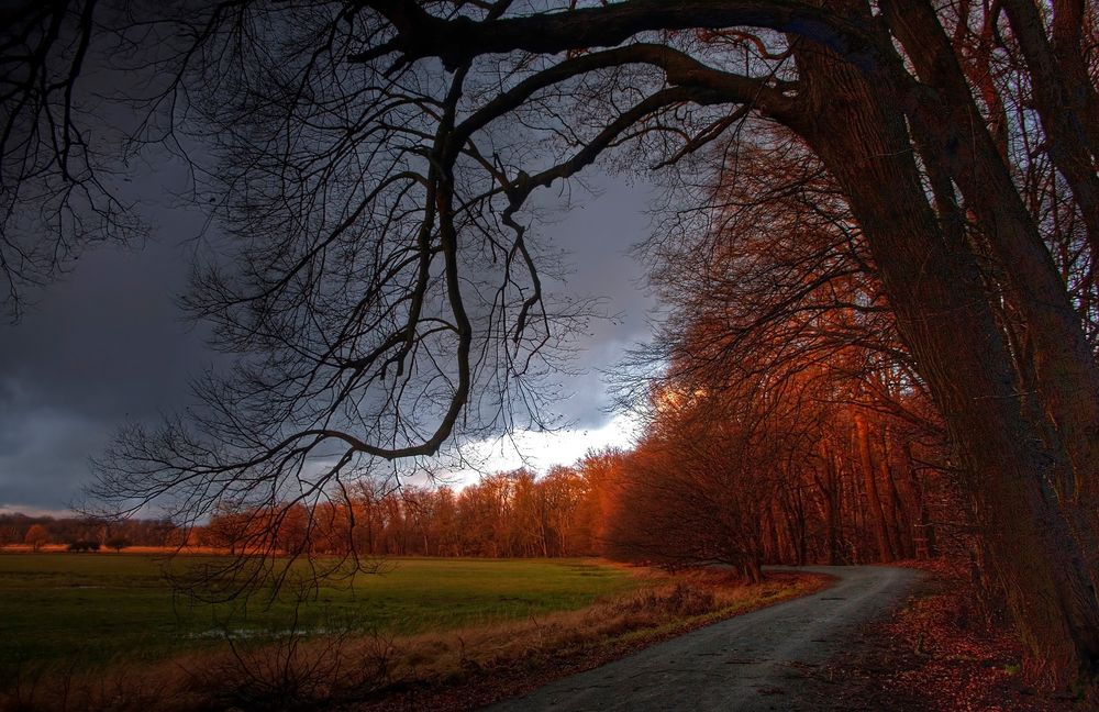 rotes Abendlicht 2