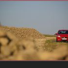 Rotes Auto mit Zuckerrüben