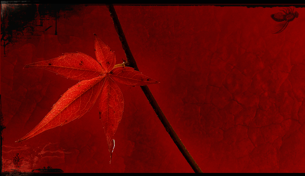 rotes blatt