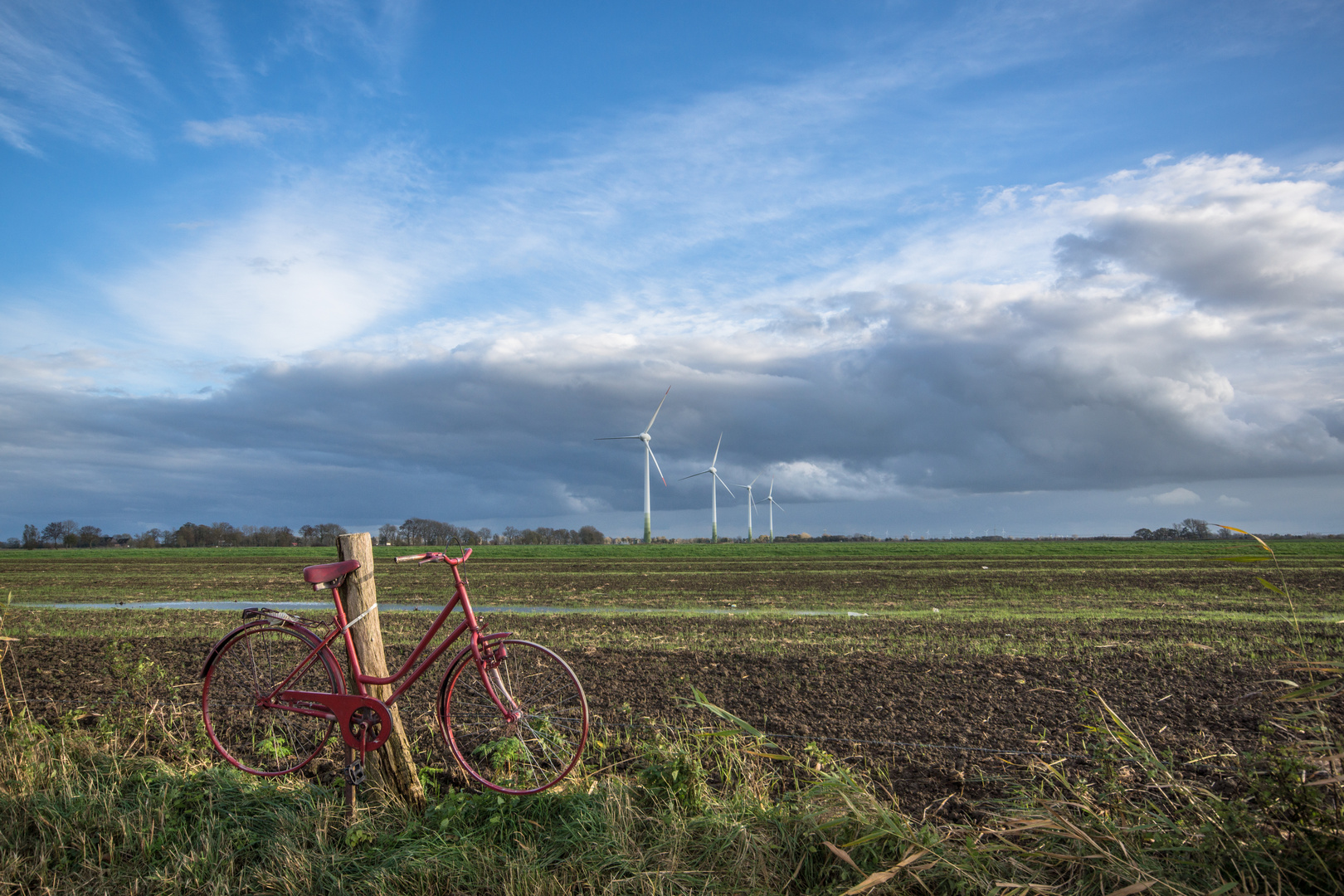 rotes Fahrrad-00498