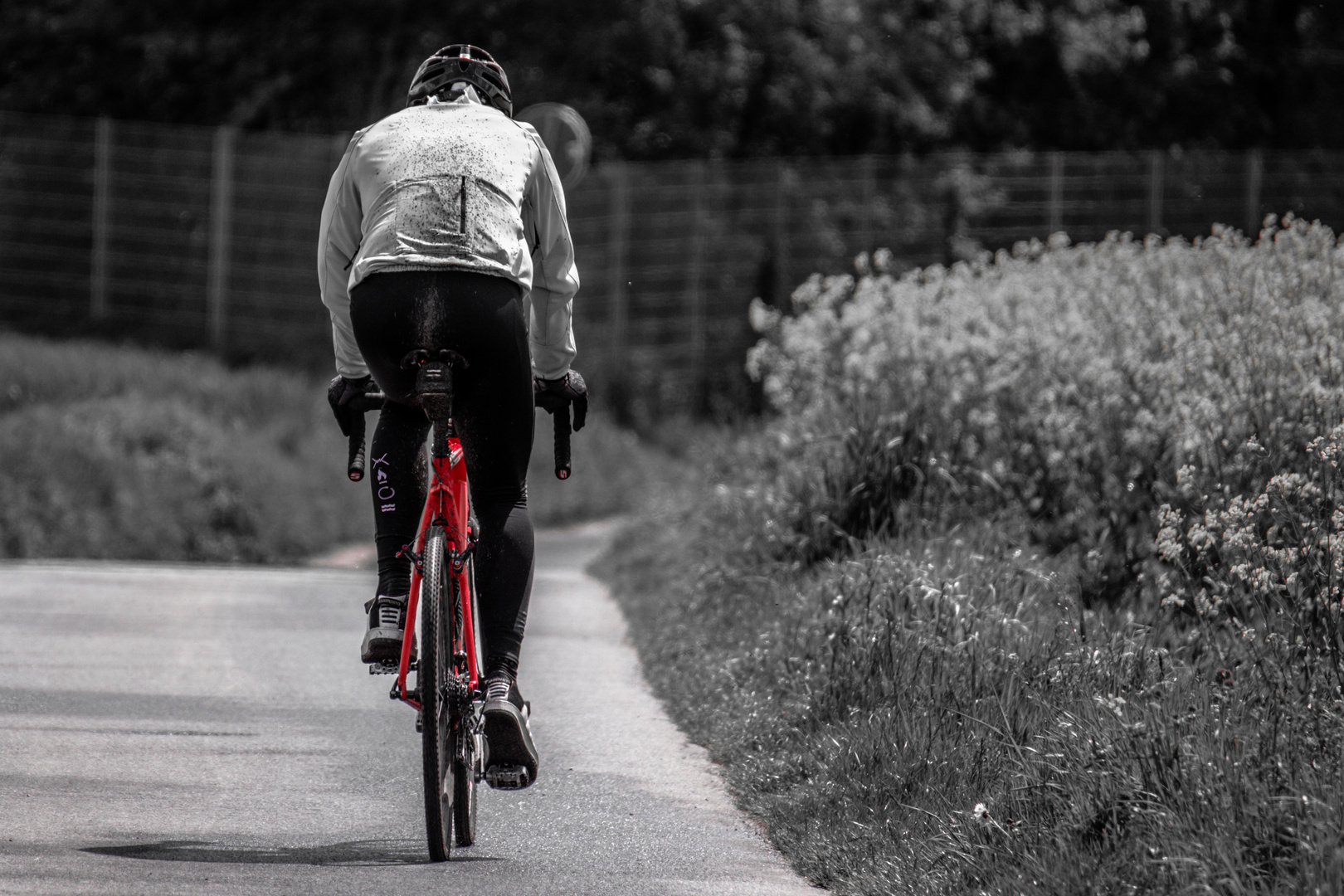 Rotes Fahrrad