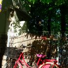 Rotes Fahrrad unter Kastanienbaum.