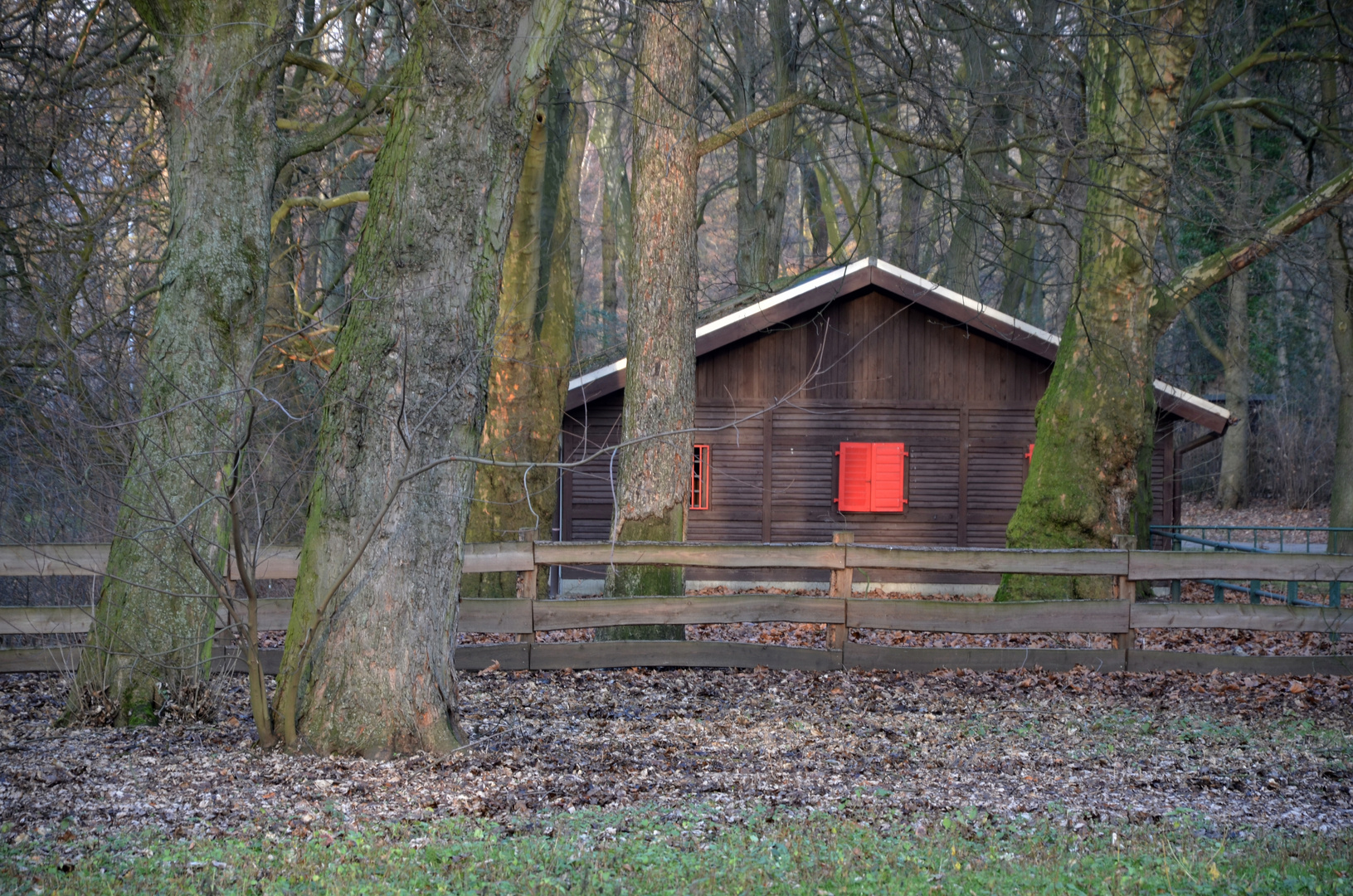 Rotes Fenster