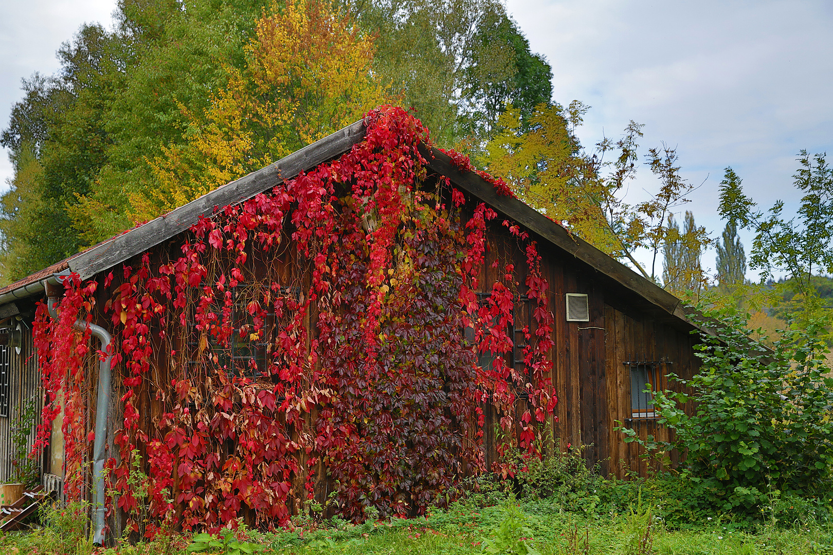 rotes haus in grüner landschaft Foto & Bild landschaft, lebensräume