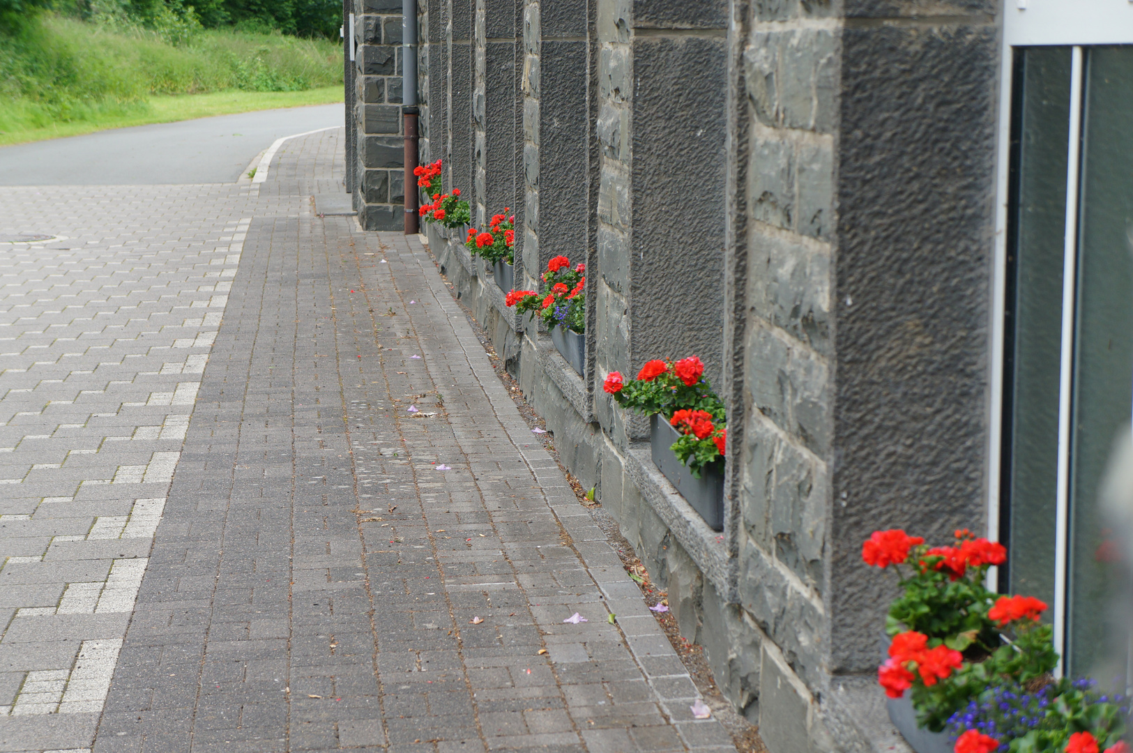 rotes in grauen Mauern