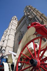 Rotes in Palma