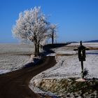 Rotes Kreuz     