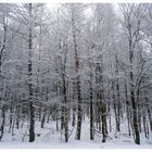 Rotes Kreuz im Schnee