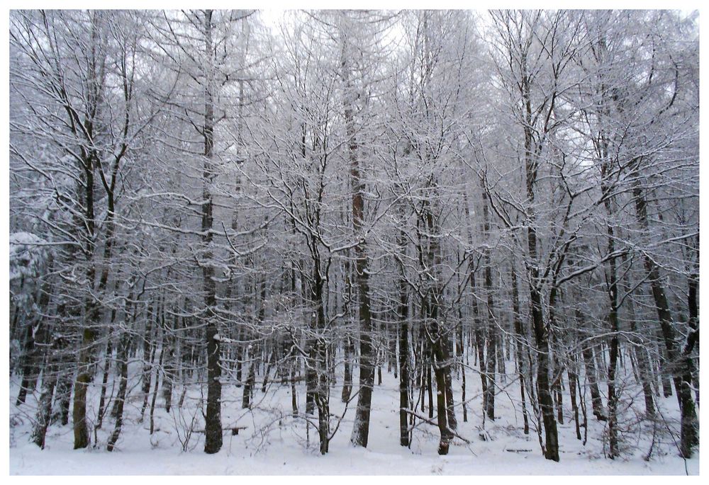 Rotes Kreuz im Schnee