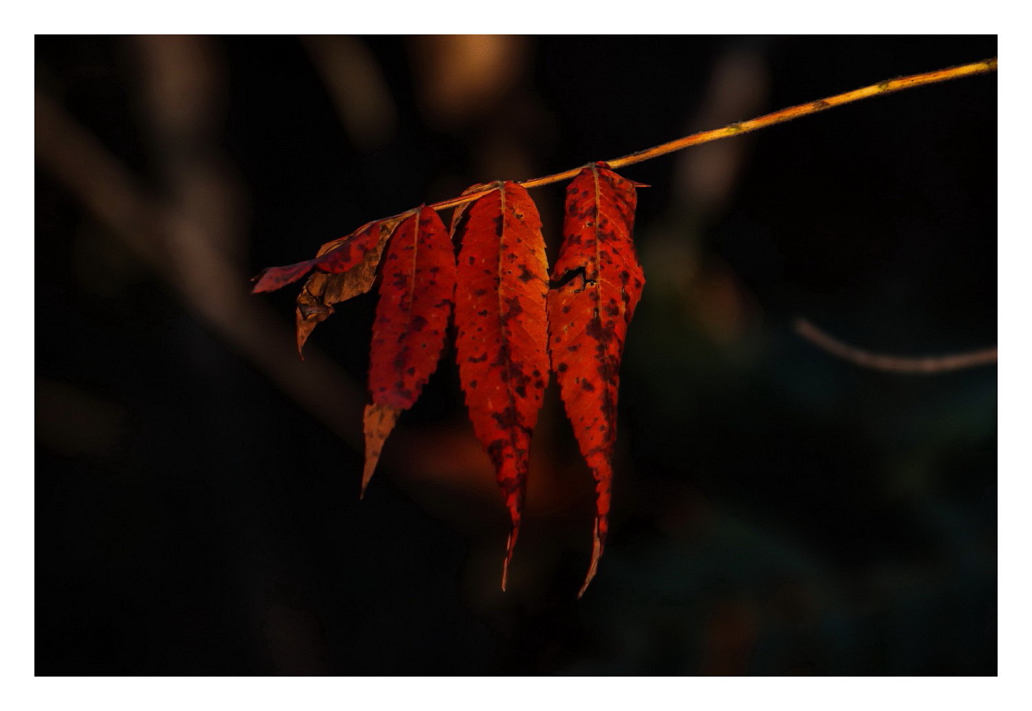 Rotes Leuchten