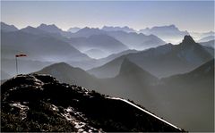 Rotes Licht oder grünes Licht