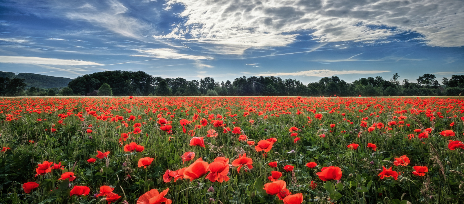 Rotes Meer