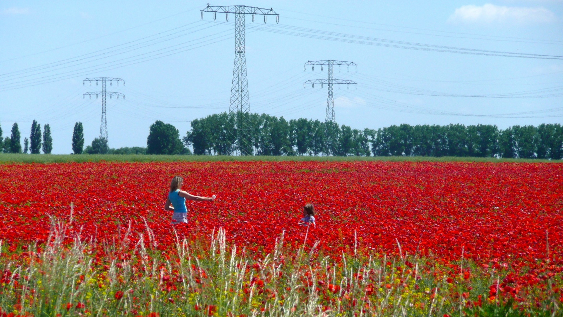 Rotes Meer