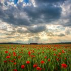 rotes Meer 