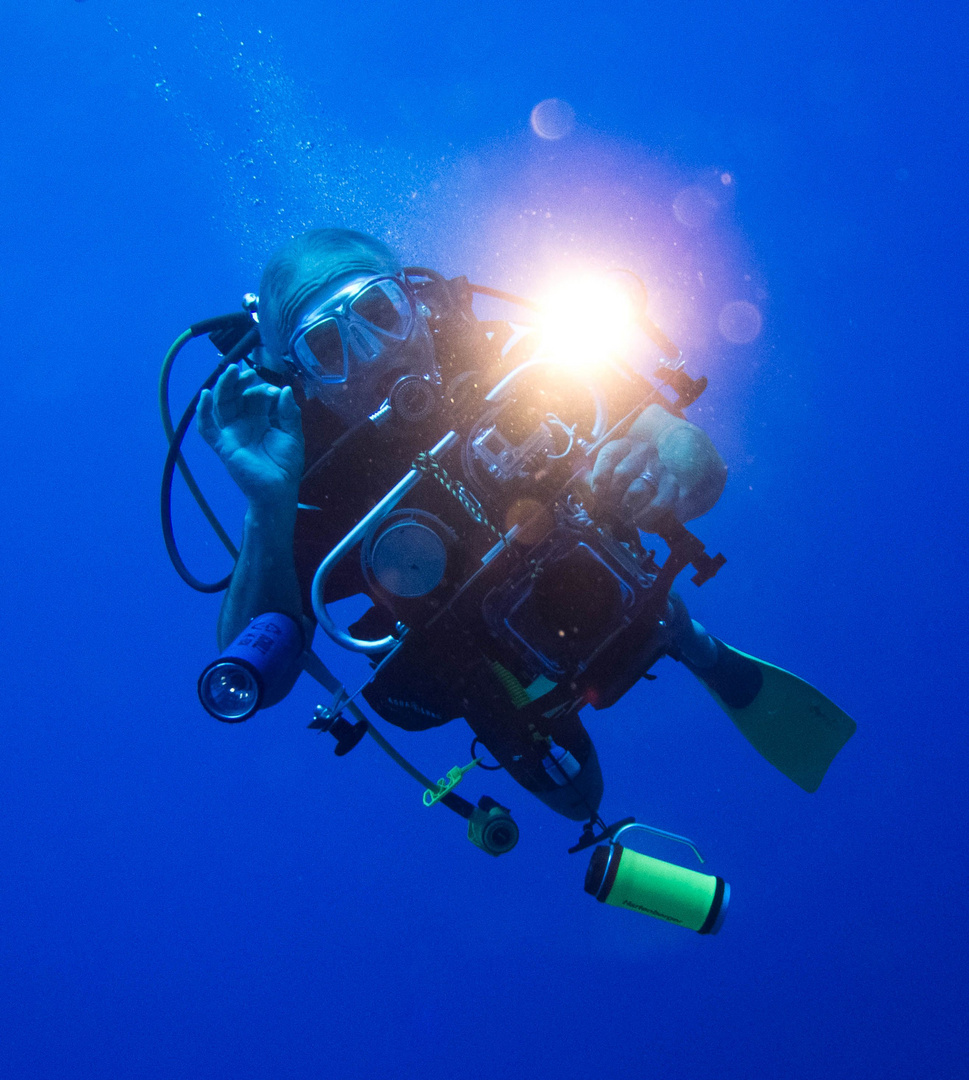 Rotes Meer, Daedalus Reef